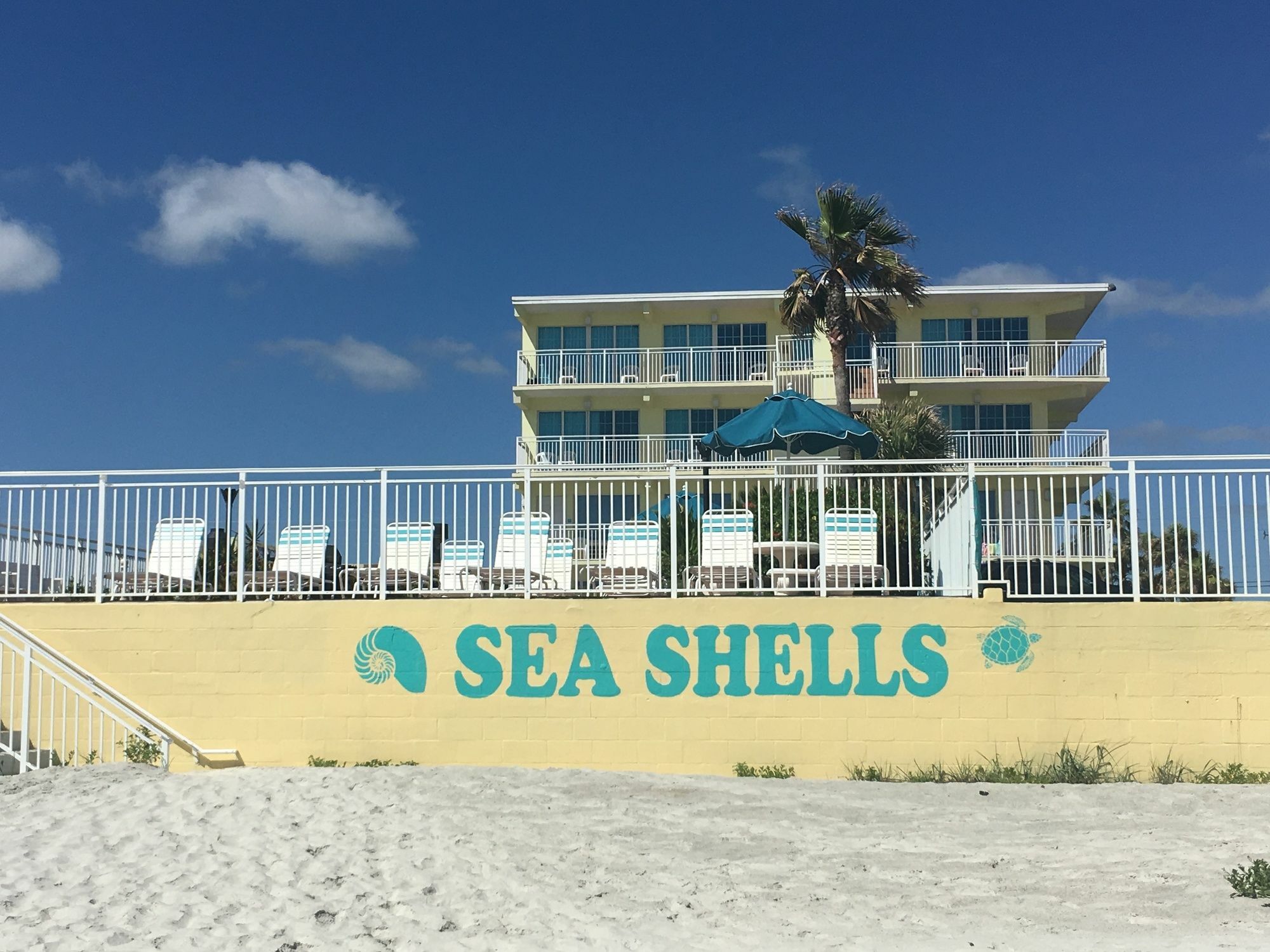 Sea Shells Beach Club Daytona Beach Exterior photo